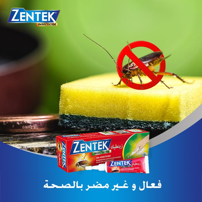 Gel Insecticide Professionnel Une Barrière Impénétrable