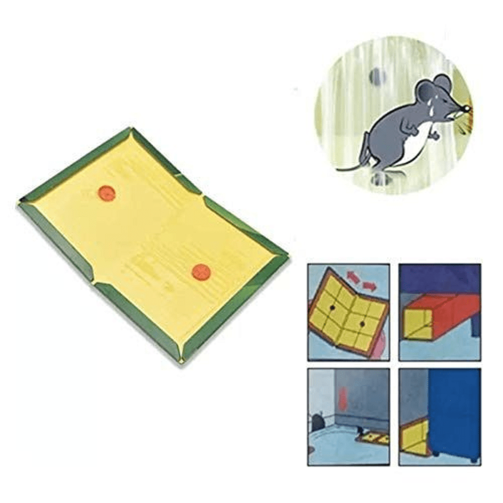 Piège à Colle pour Souris et Rats