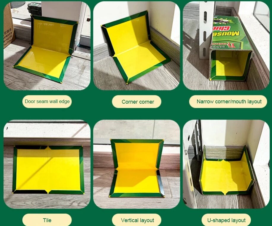 Piège à Colle pour Souris et Rats thumbnail 4