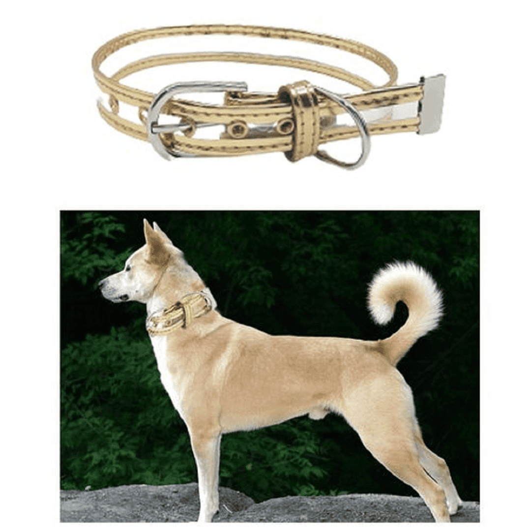 Ceinture pour chien et chat mignonne, Collier pour animaux de compagnie (couleur aléatoire) thumbnail 4