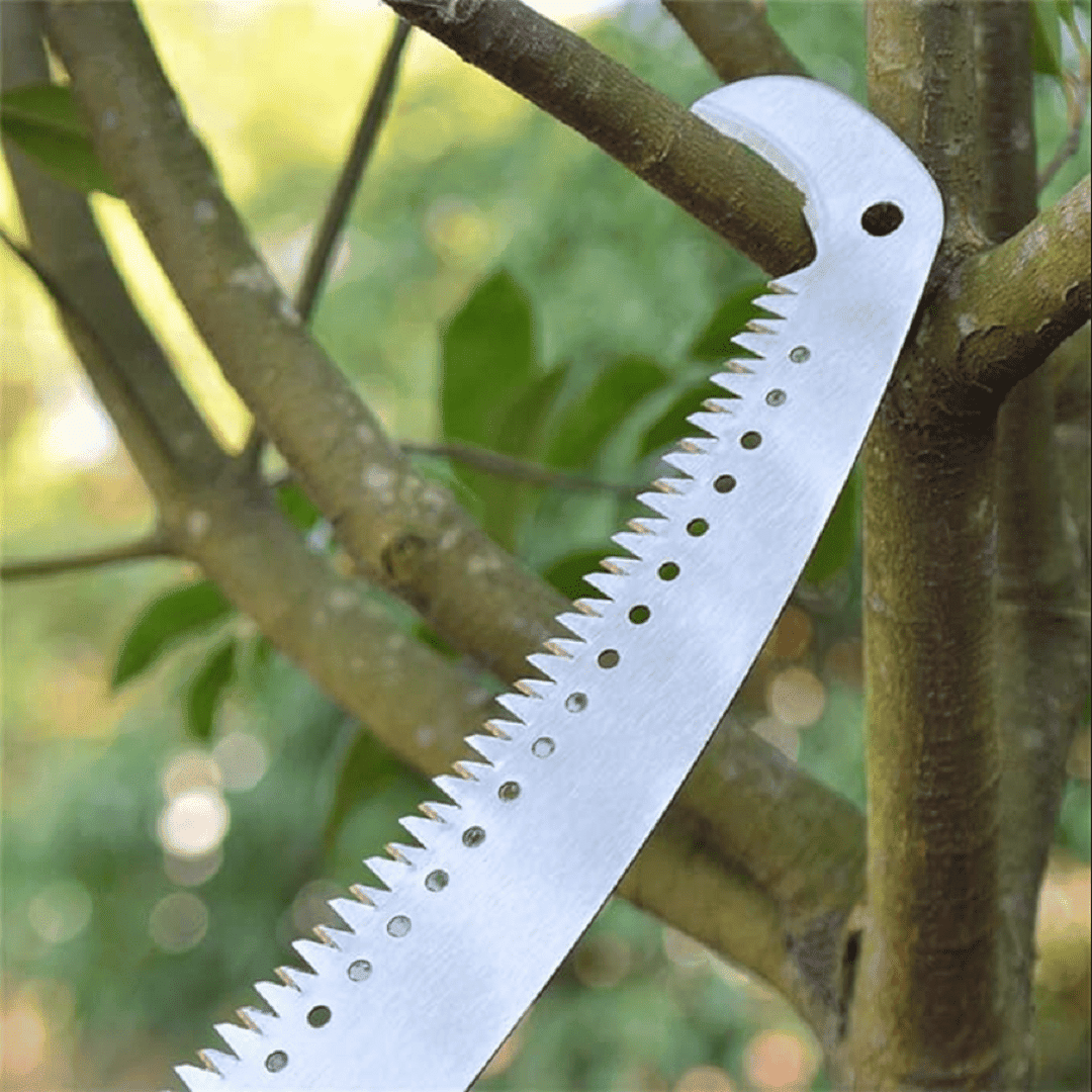 Scie à Bois pour Jardin de Qualité Professionnelle