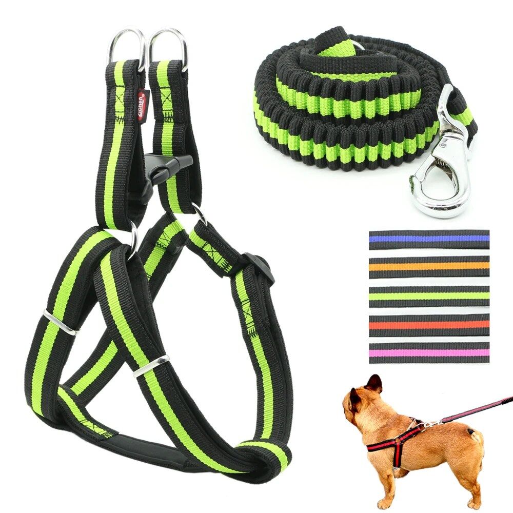 Laisse pour Chien Réglable en Nylon Souple,Durabilité et Confort Absolu (colleur aléatoire)