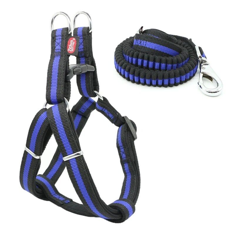 Laisse pour Chien Réglable en Nylon Souple,Durabilité et Confort Absolu (colleur aléatoire) thumbnail 4