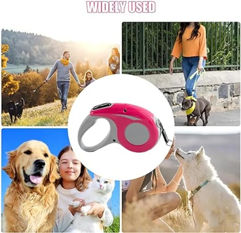 Laisse Rétractable 5M pour Chiens Actifs