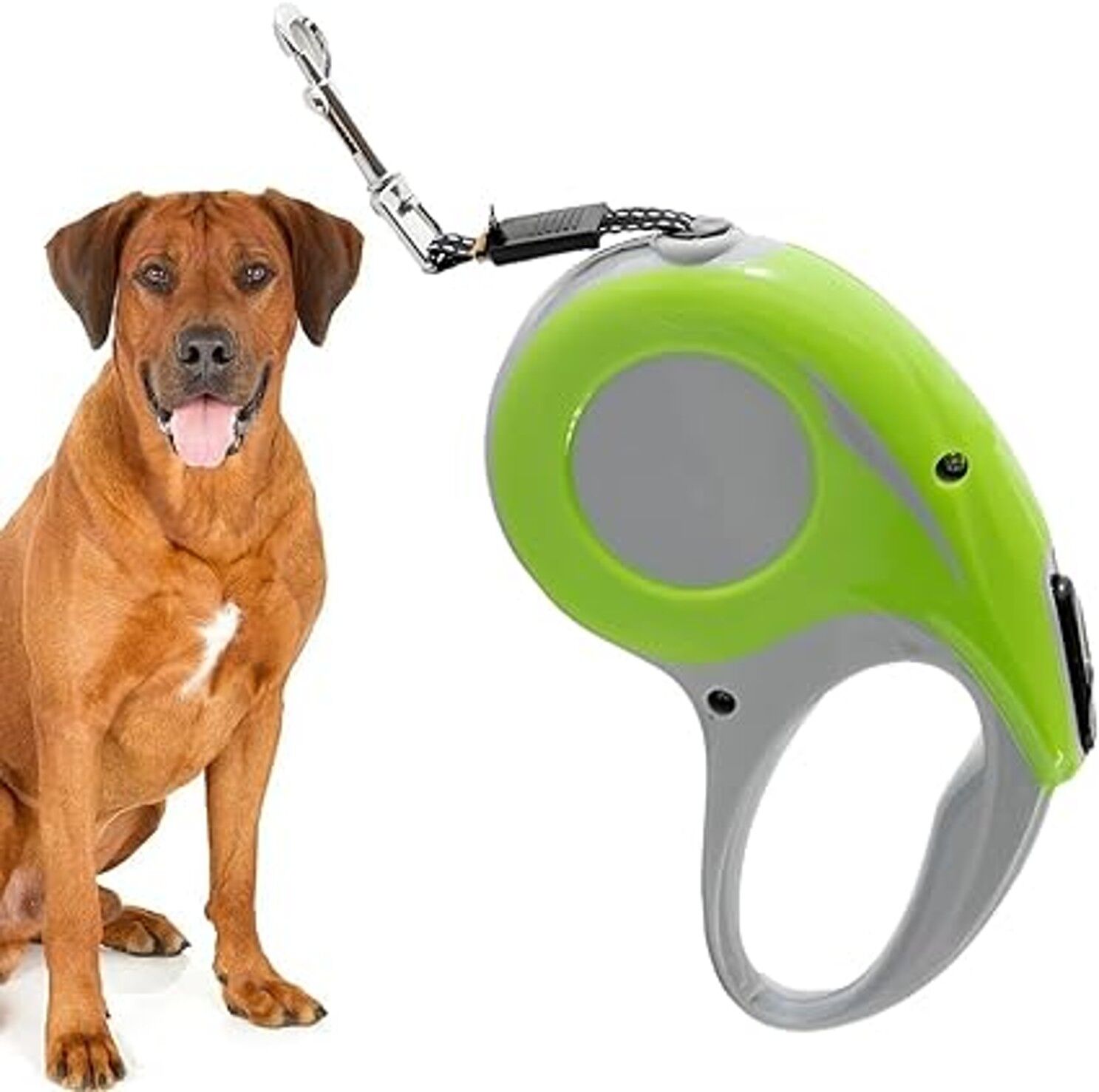 Laisse Rétractable 5M pour Chiens Actifs thumbnail 4