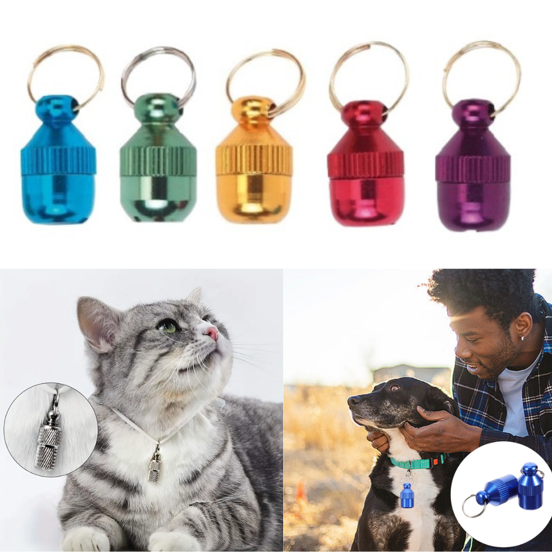 Élégant Pendentif d’Identification pour Chat et Chien Assurez leur Sécurité avec Style (colleur aléatoire)