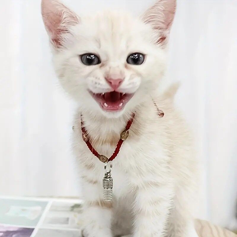 Élégant Pendentif d’Identification pour Chat et Chien Assurez leur Sécurité avec Style (colleur aléatoire)