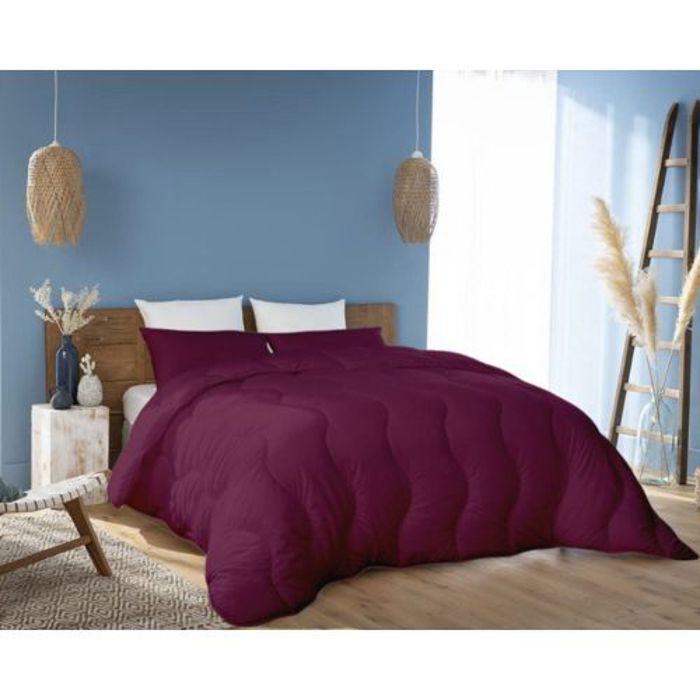 Couette Aubergine Microfibre Antiallergique (2Places) +2Taies d’oreiller Offerts