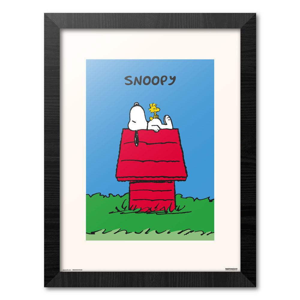 Cadre Snoopy Doghouse 30x40cm