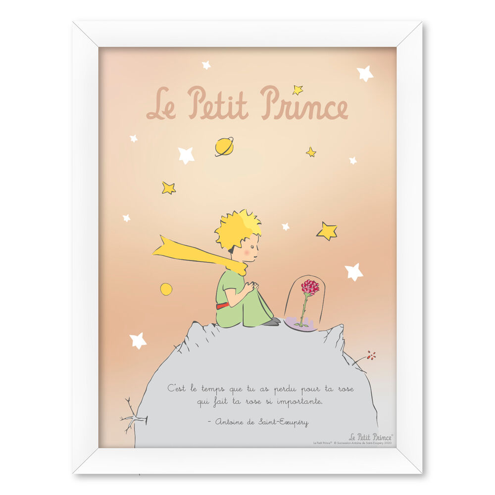 Cadre Le Petit Prince Fr 30x40 Cm