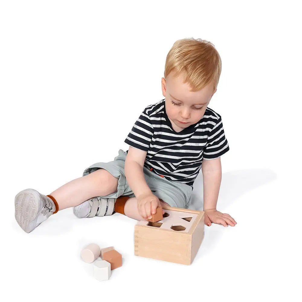 Boîte de Tri de Formes 