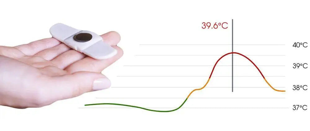 Pack thermomètre connecté avec Recharge de 15 adhésifs