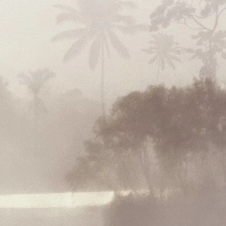 Lac Tropical Pure Papier peint photo murale intissé – L 200 x H 280 cm