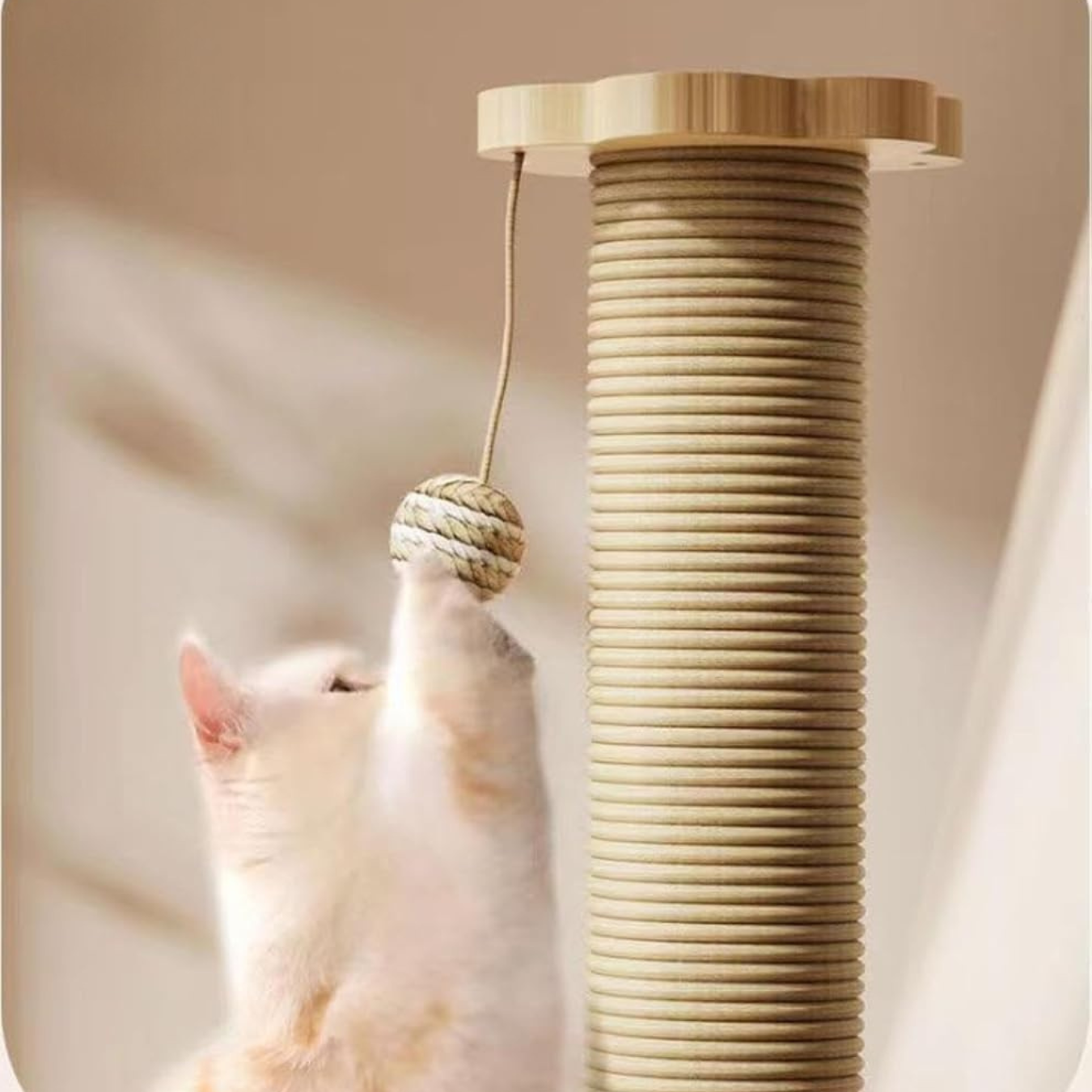 Wooden Cat Toy with Sisal Scratching Post & Turntable