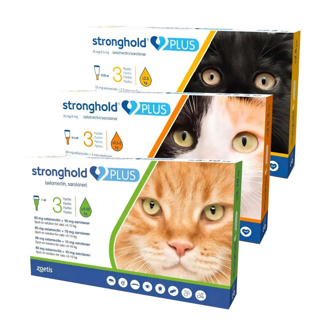 Stronghold – Complete Parasite Protection for Dogs and Cats of All Sizes thumbnail 1