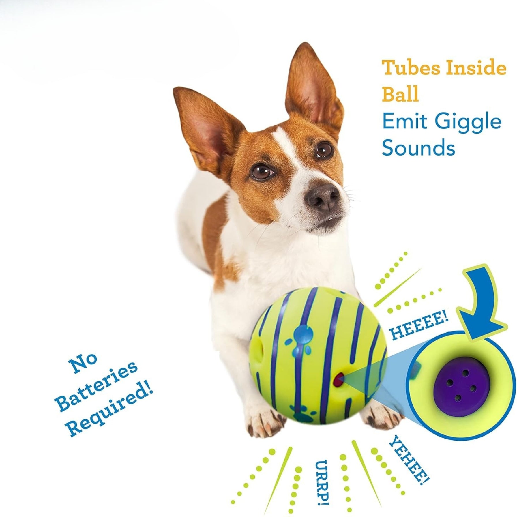 Interactive Giggle Ball Dog Toy – No Batteries Needed, Makes Sounds When Rolled or Shaken thumbnail 3
