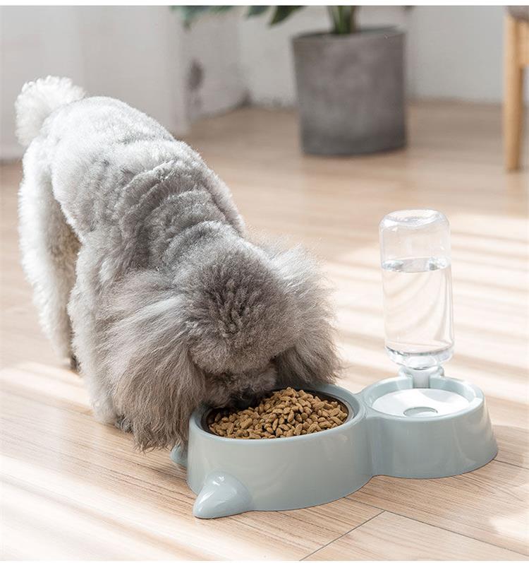 Pet Automatic Feeder - Food & Water thumbnail 3