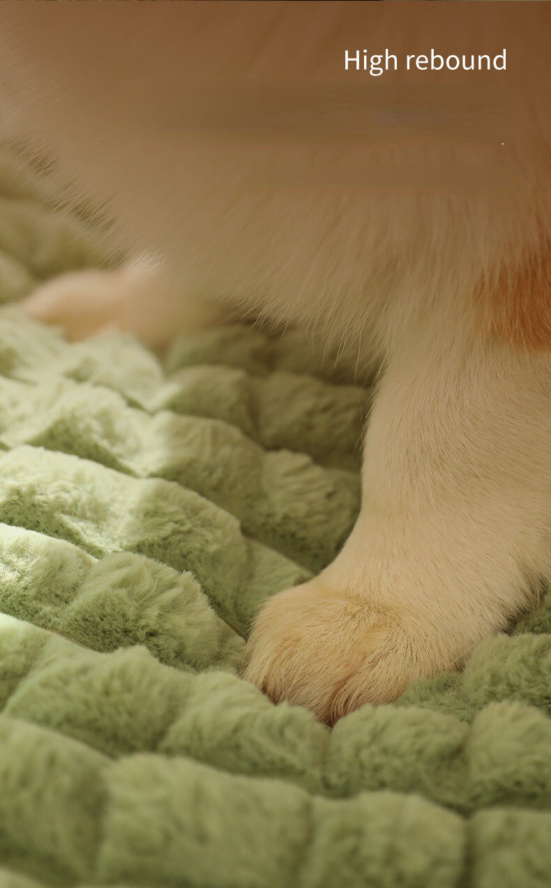 Thick Pet Bed - Durable Comfort Washable thumbnail 4