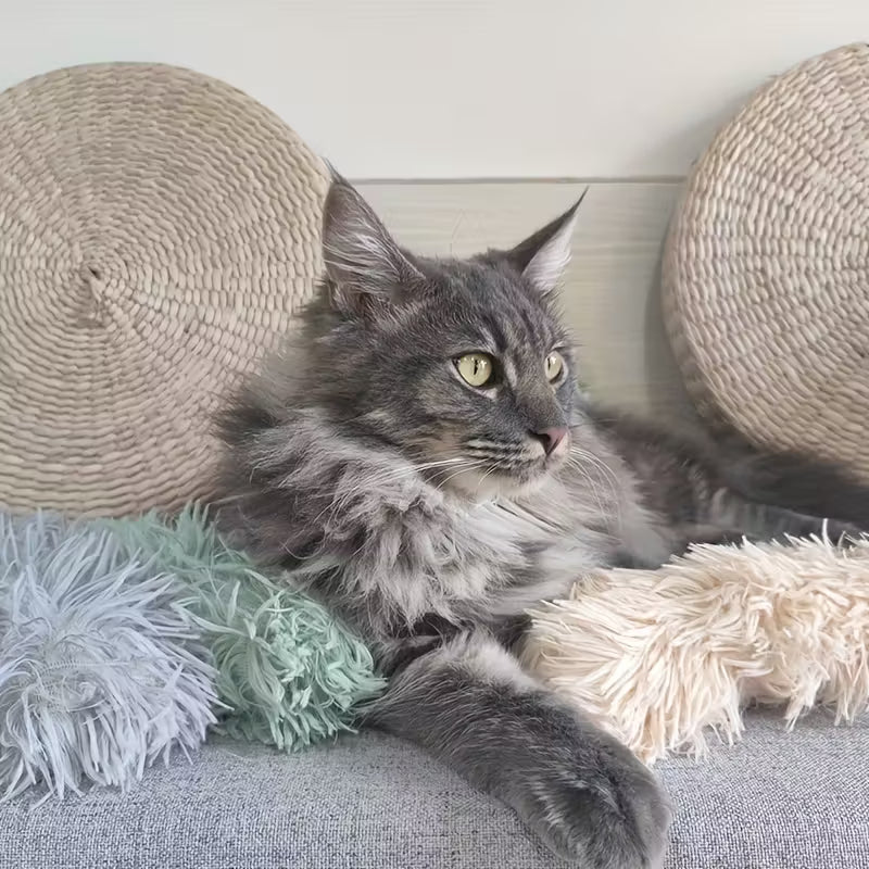 Jouet Interactif en Peluche pour Chat thumbnail 4