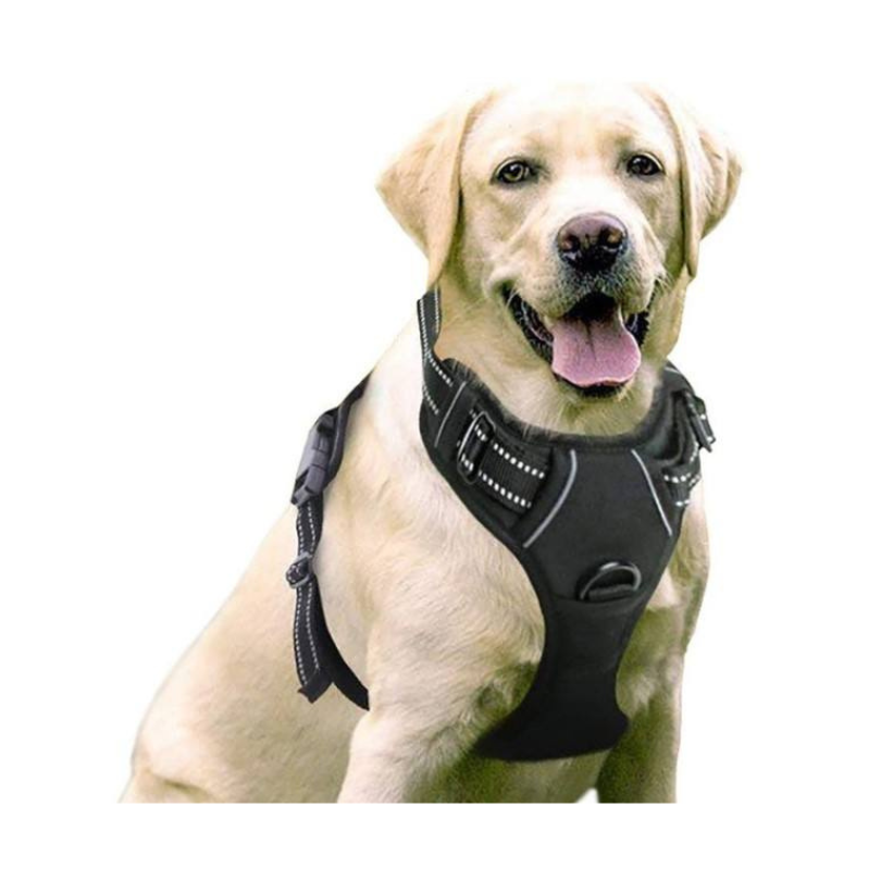 Dog Harness for Large Dogs