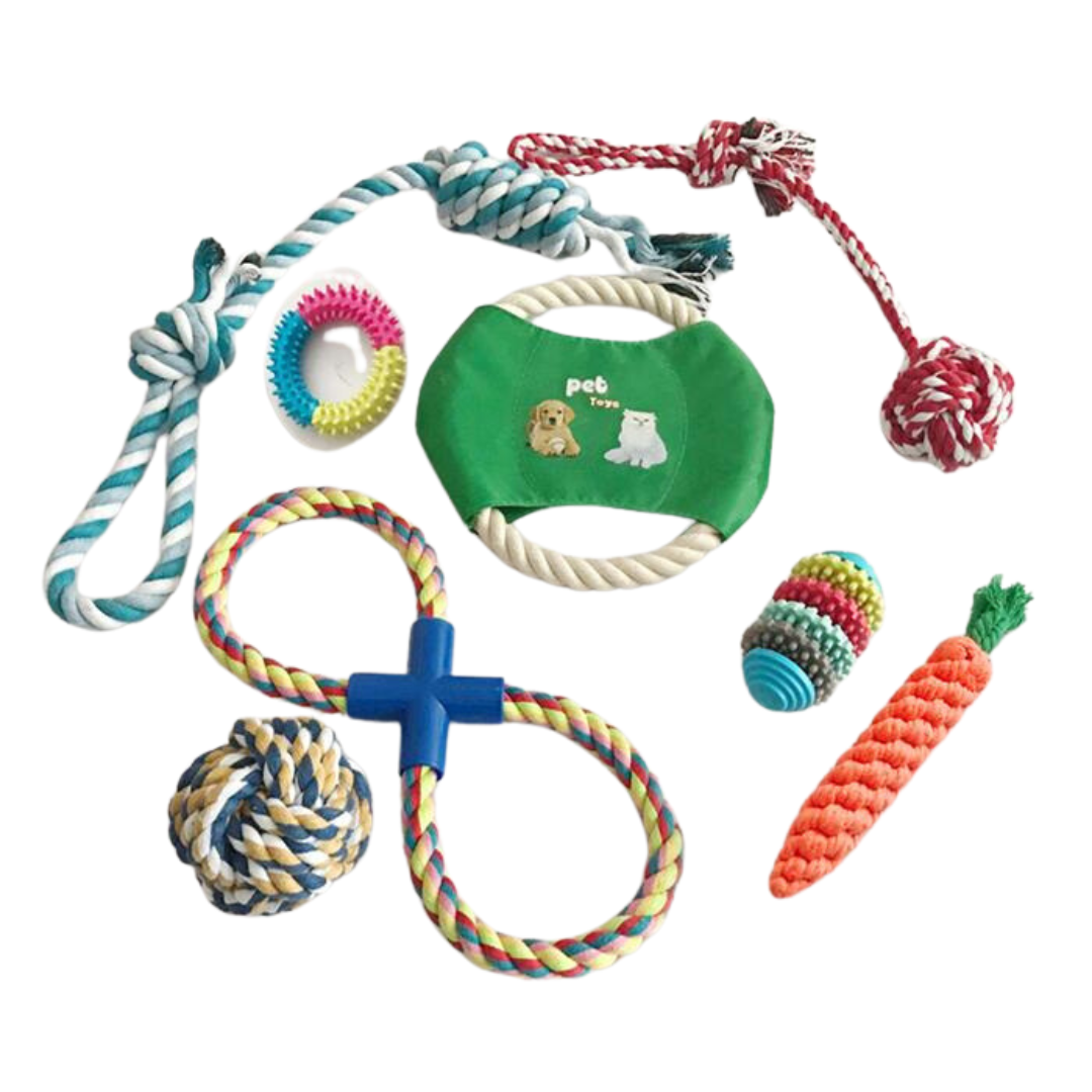 8-Piece Chew & Play Dog Toy Set