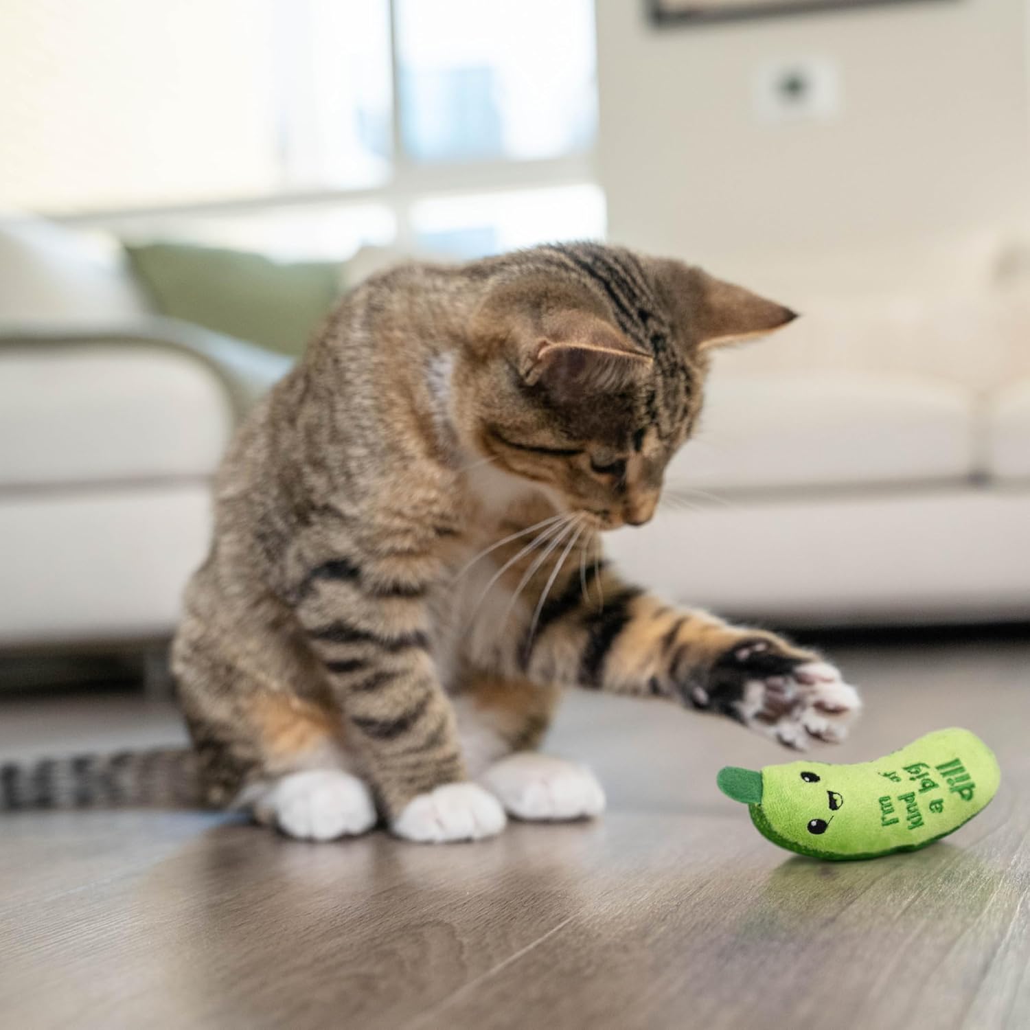 Cat Kicker Toy with Catnip – Crunchy Plush Pickle for Active Play