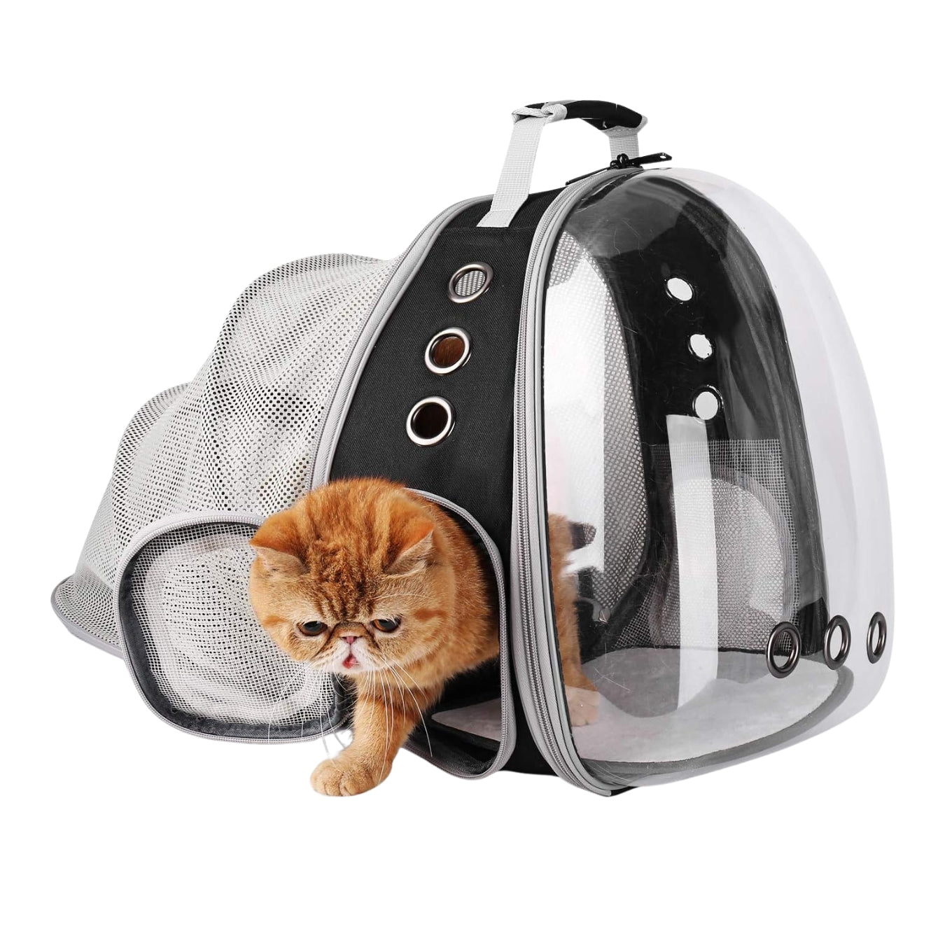 Expandable Bubble Cat Carrier Backpack – Airline Approved