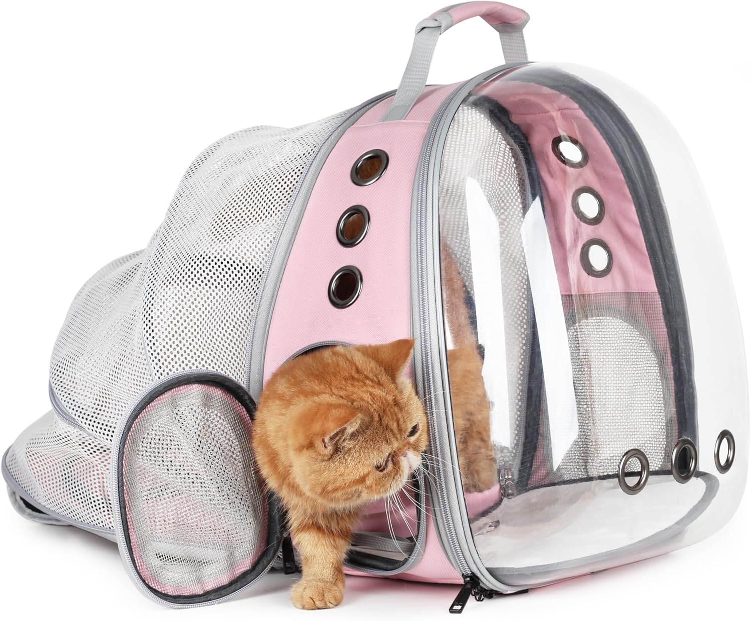 Expandable Bubble Cat Carrier Backpack – Airline Approved thumbnail 4