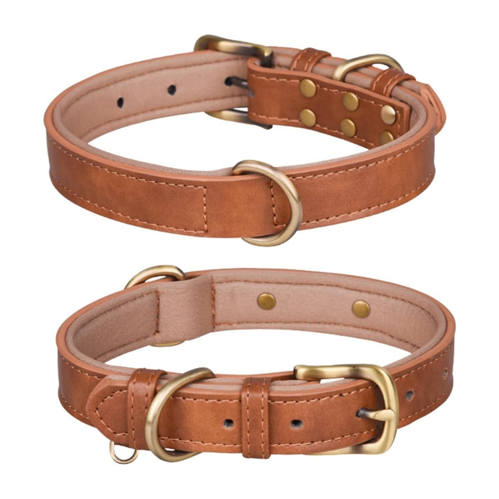 Adjustable Leather Dog Collar – Padded & Durable with D-Ring thumbnail 4