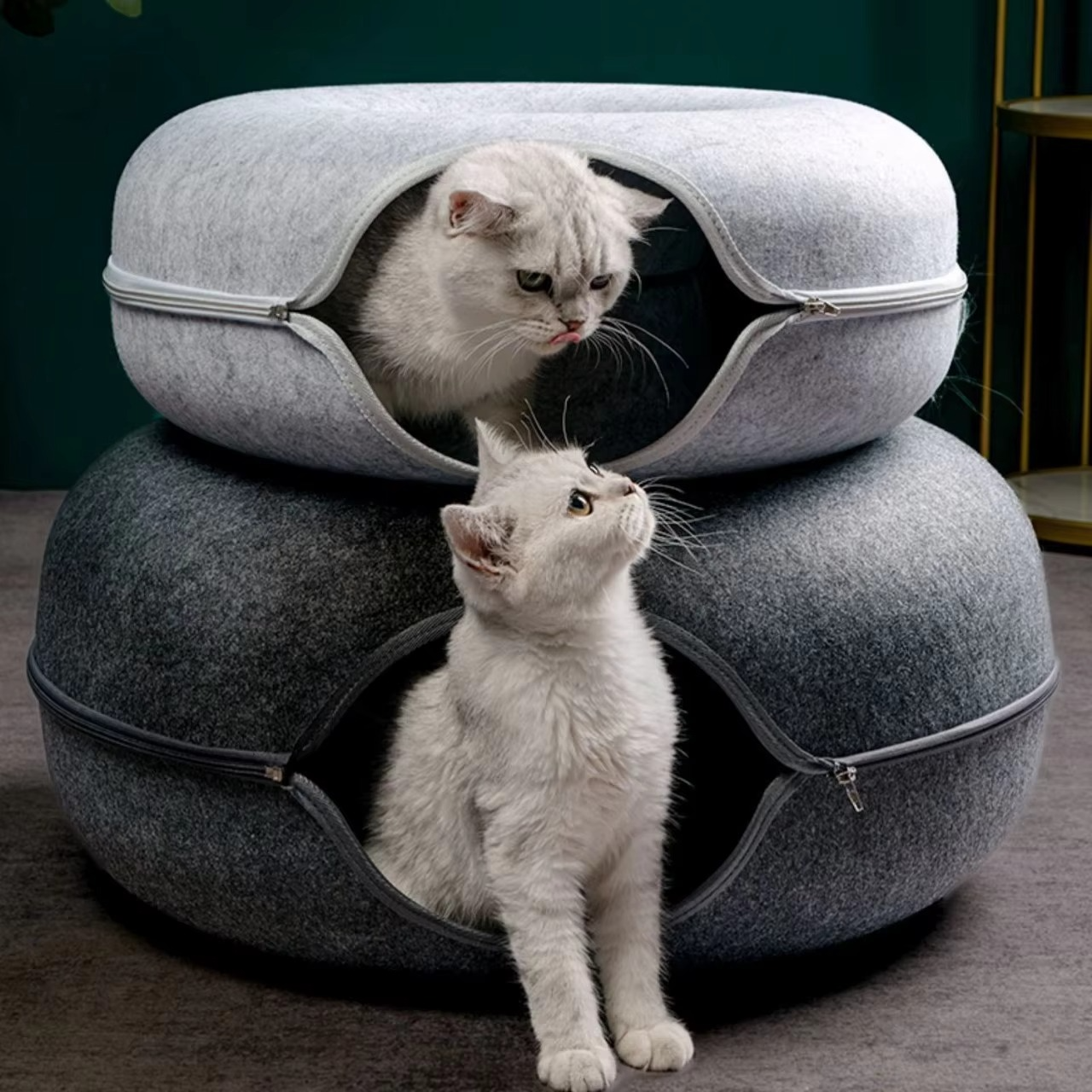 Cat Tunnel Bed – Scratch-Resistant Donut Cave, Collapsible & Washable thumbnail 3