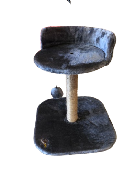 Arbre À Chat Gris Avec Griffoir.