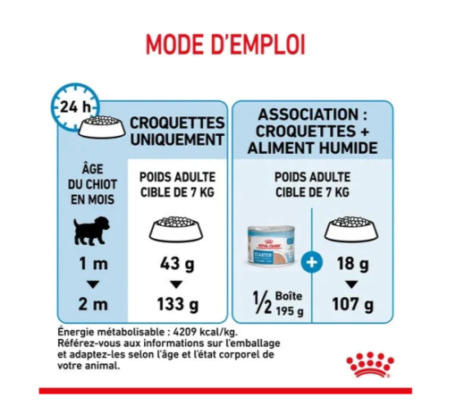 Mini starter mother baby dog - 4kg thumbnail 3