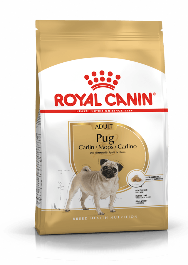 Croquettes Pour Chien - ROYAL CANIN - Pug Carlin Adulte 1.5KG thumbnail 2
