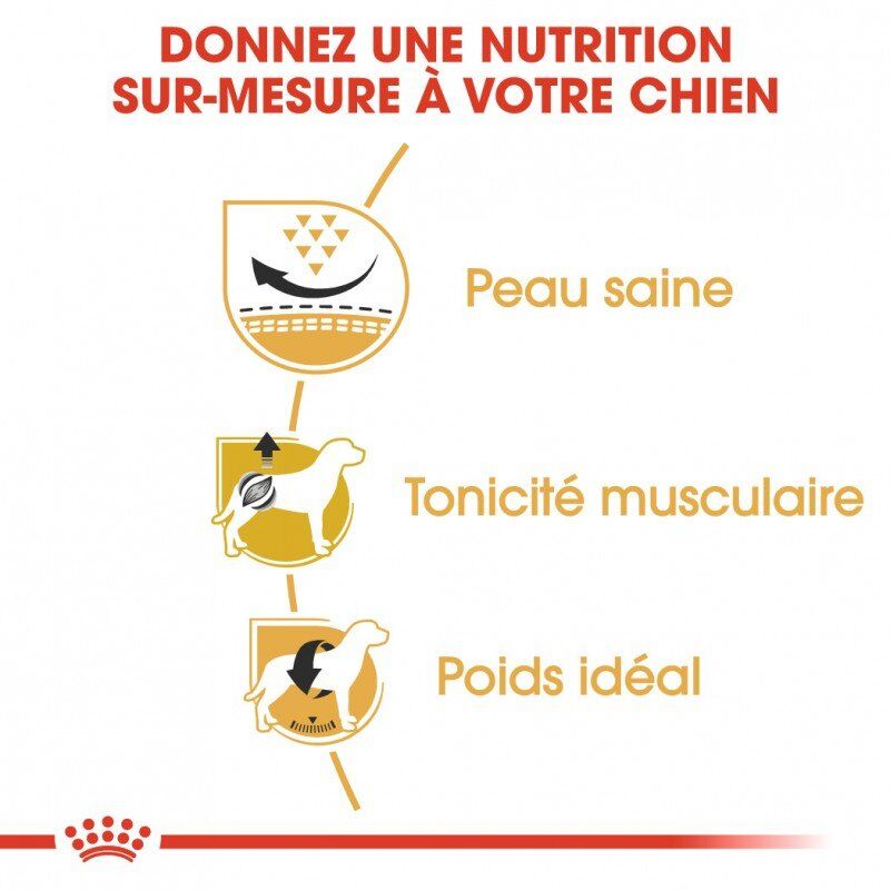 Croquettes Pour Chien - ROYAL CANIN - Pug Carlin Adulte 1.5KG thumbnail 3