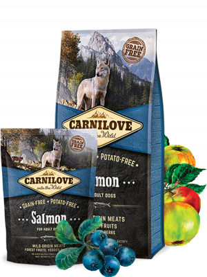 Croquette pour chien adulte au saumon 12kg.