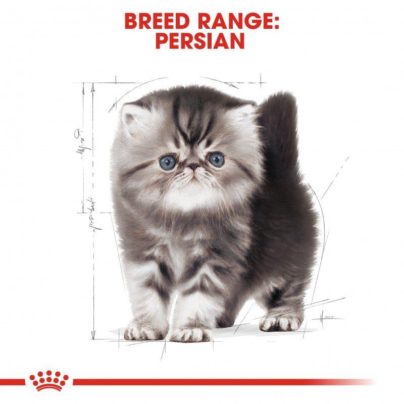 Croquettes Pour Chaton  Royal Canin Persian 2KG.