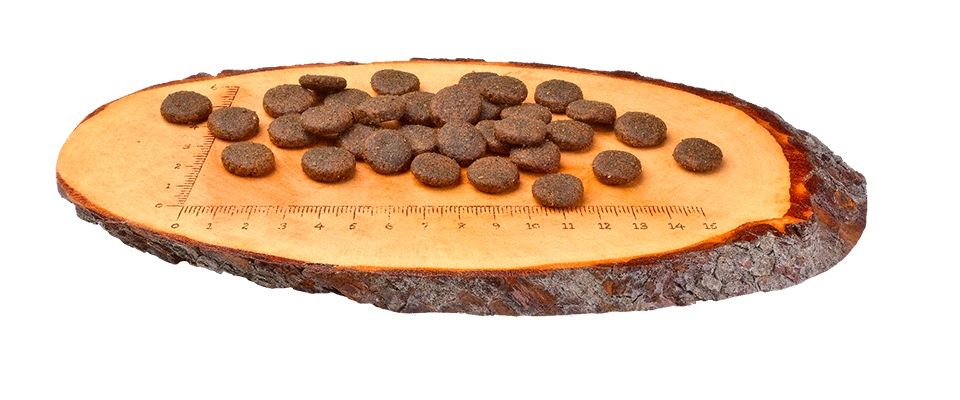 Croquttes Pour Chien adulte au Saumon et Dinde - CARNILOVE  (Grande Race) 12 Kg thumbnail 3