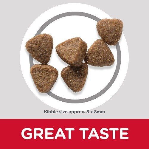 Hills Kitten Food With Chicken 3kg thumbnail 3