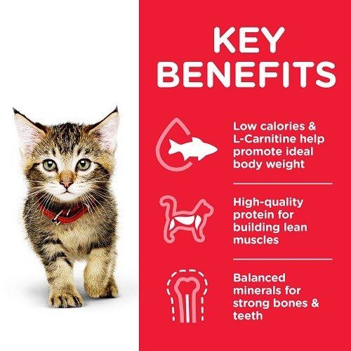 Kitten Food with Chicken 3Kg