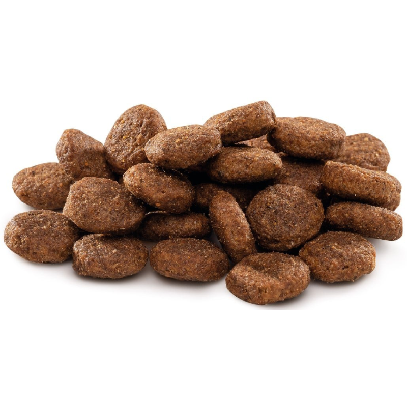 Croquettes Pour Chien - Brit Premium By Nature Adult L - 15 Kg
