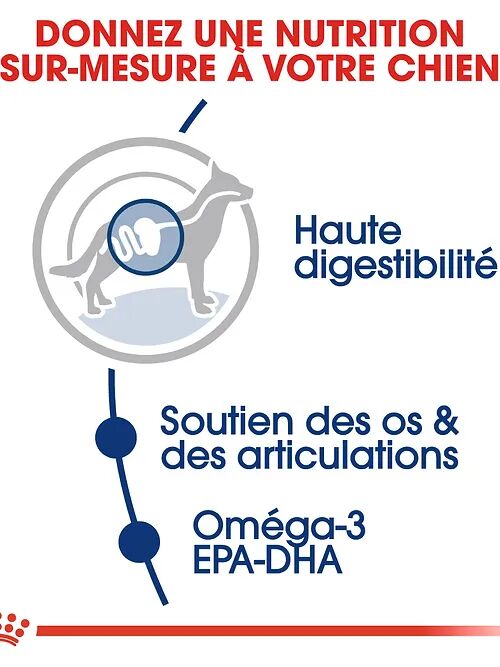 Croquettes Pour Chien Royal Canin Maxi Adulte 4 kg.