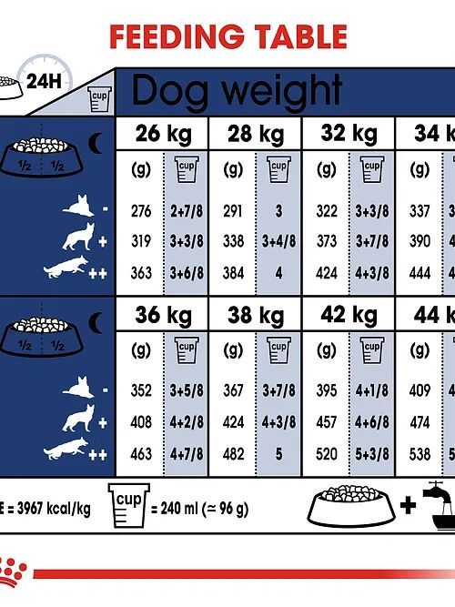Croquettes Pour Chien Royal Canin Maxi Adulte 4 kg. thumbnail 3