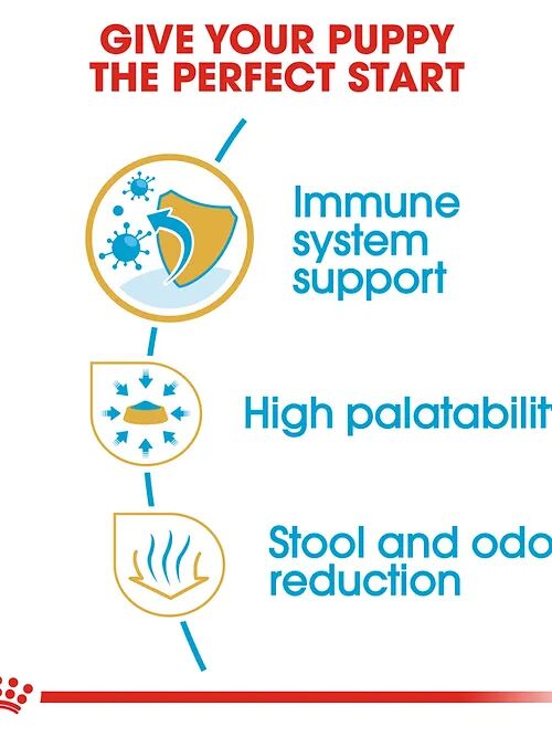 Croquettes Pour Chiot - Royal Canin Chihuahua 1.5 Kg