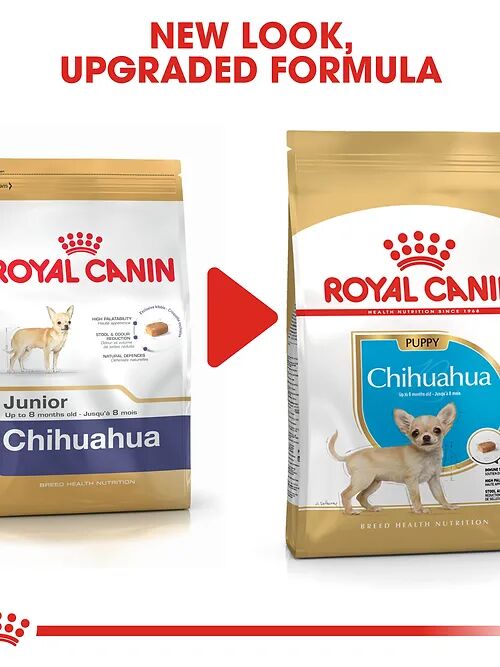 Croquettes Pour Chiot - Royal Canin Chihuahua 1.5 Kg thumbnail 3