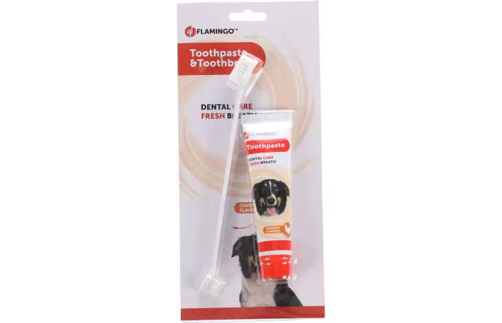 Dentifrice Dafra Saveur Poulet + Brosse A Dents 85gr / 521236