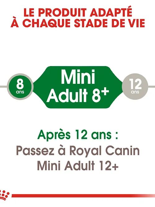 Royal Canin Mini Adult 2 Kg