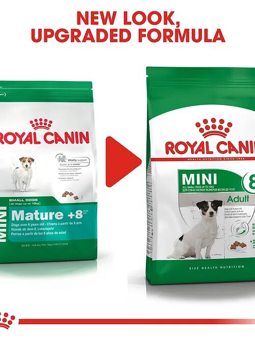 Royal Canin Mini Adult 2 Kg thumbnail 3