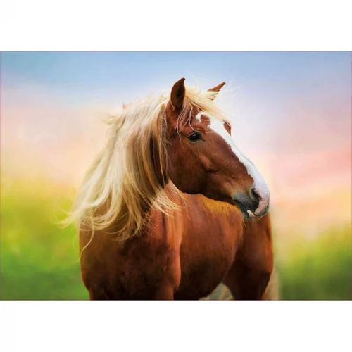 Puzzle de 500 Pièces pour Enfants - Cheval au Lever du Soleil - Animaux