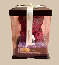 Ours + Boite 5 Pièce