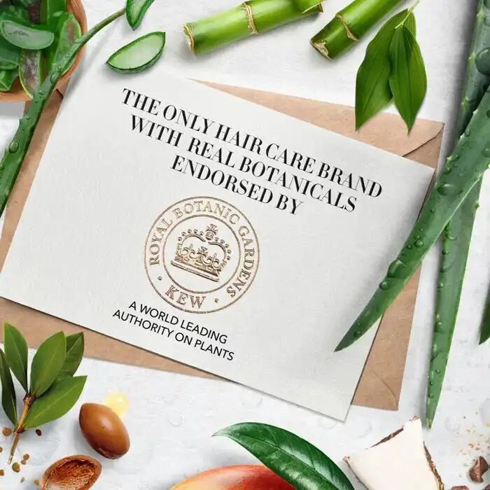 CONDITIONER MANGUE SANS SULFATE